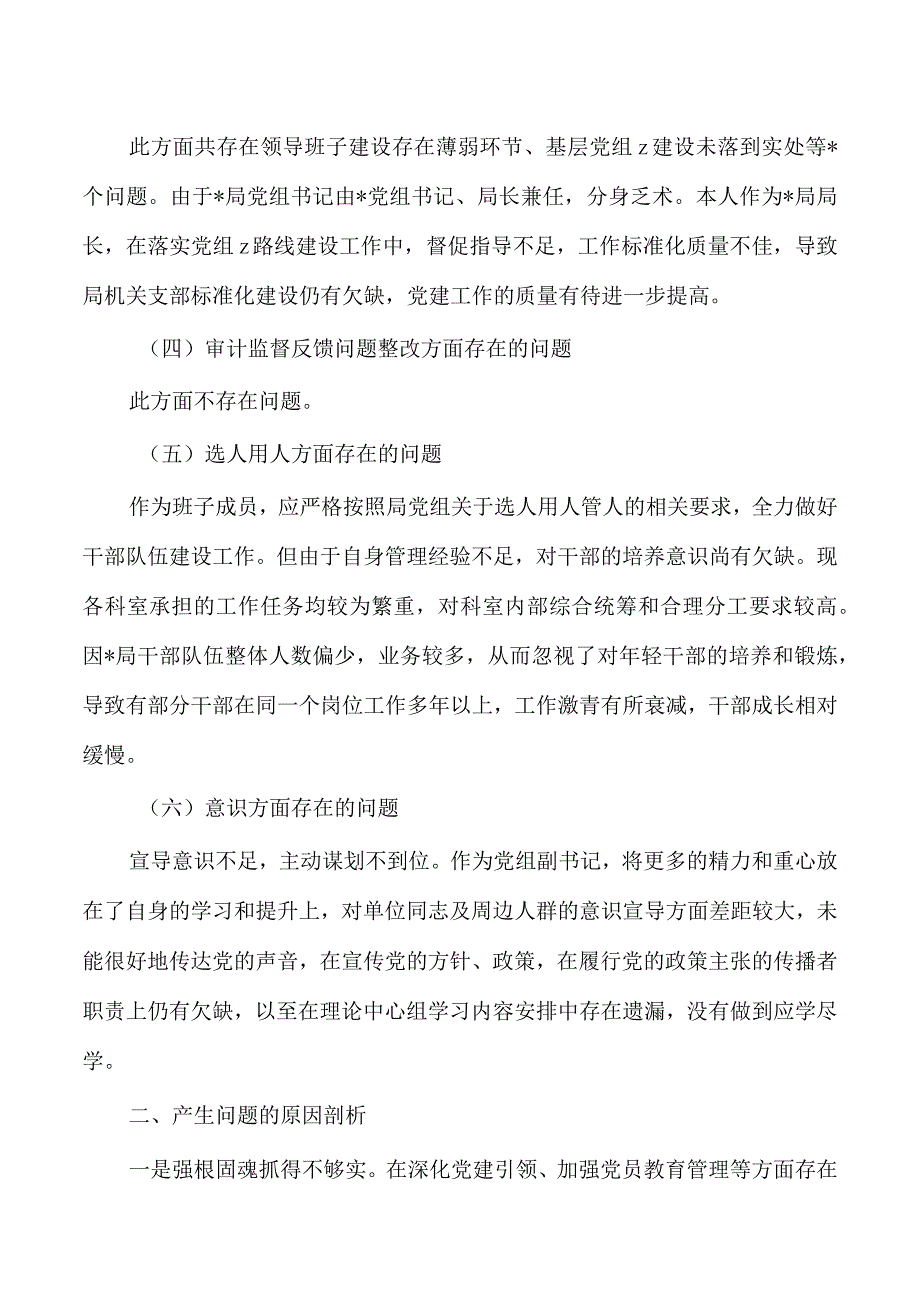 反馈问题个人检查材料发言提纲.docx_第2页