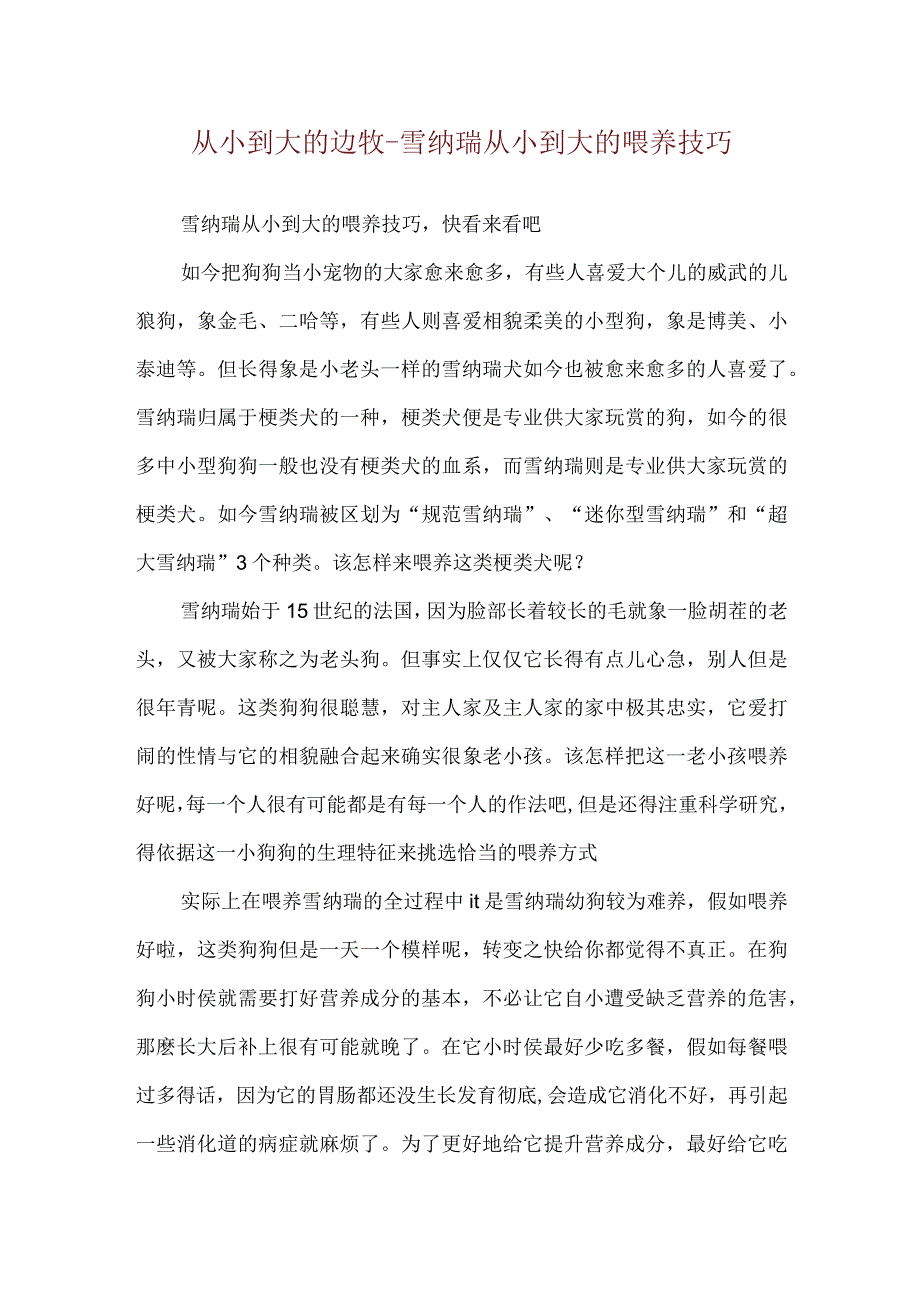 从小到大的边牧-雪纳瑞从小到大的喂养技巧.docx_第1页