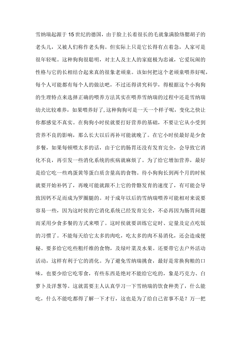 从小到大的边牧-雪纳瑞从小到大的喂养技巧.docx_第3页