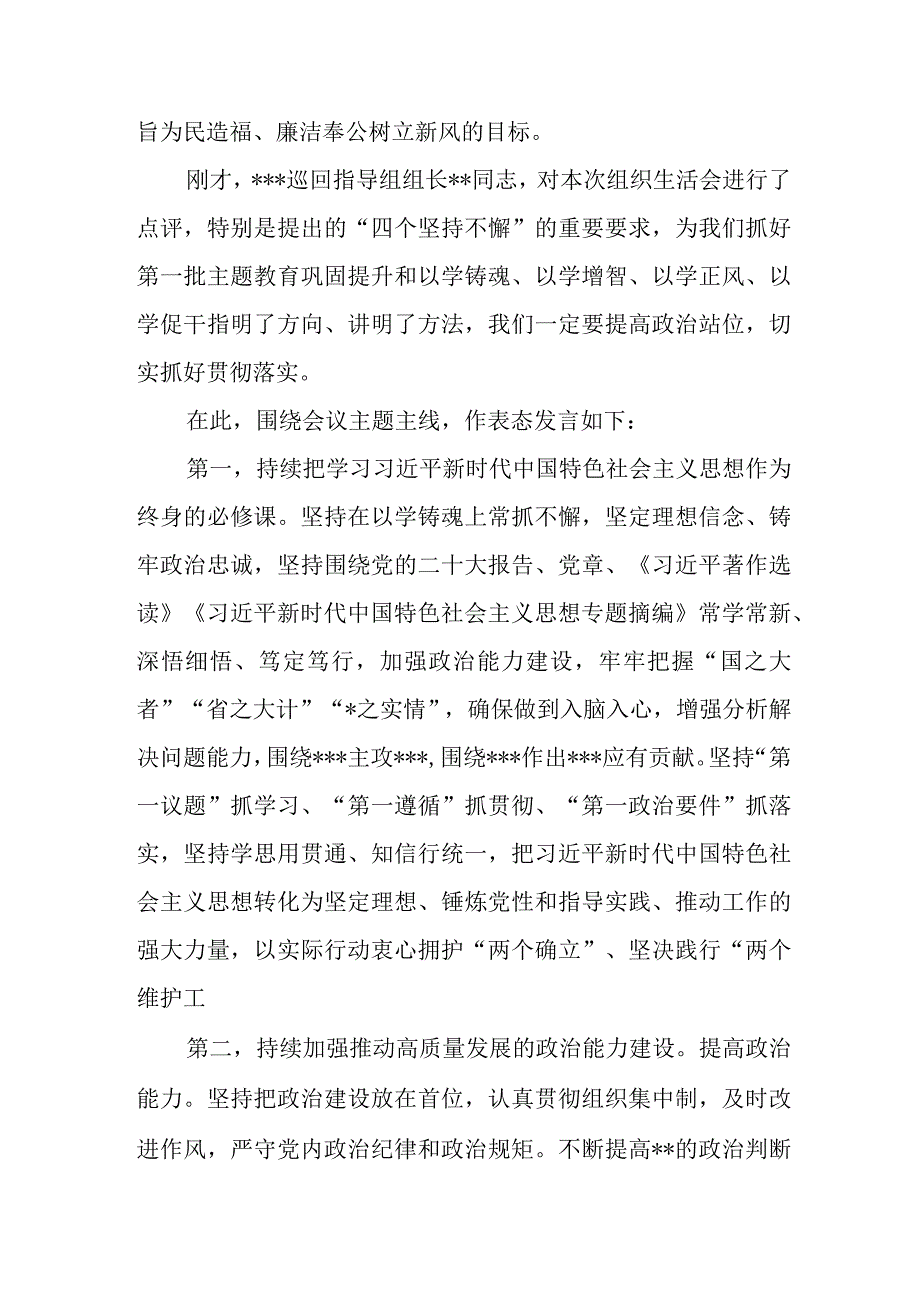 党支部书记在2023年主题教育专题组织生活会上总结表态发言.docx_第3页