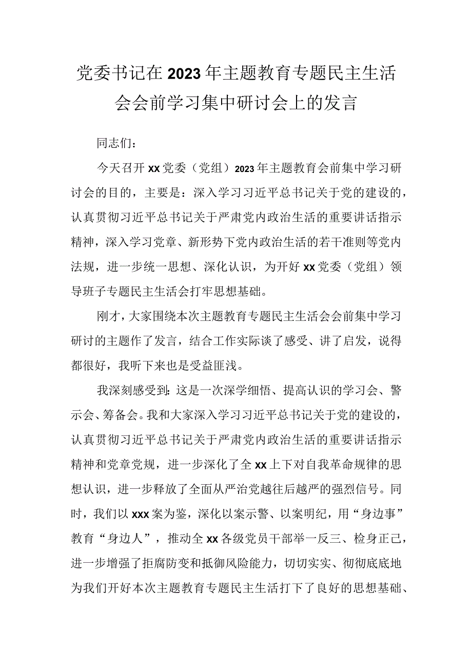 党委书记在2023年主题教育专题民主生活会会前学习集中研讨会上的发言.docx_第1页