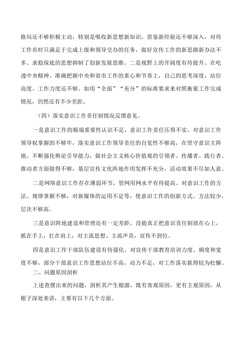 反馈问题检查个人发言提纲.docx_第2页