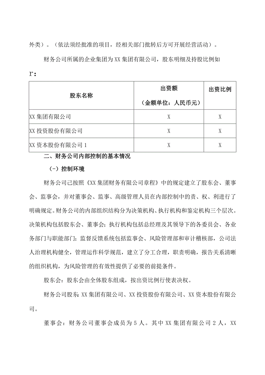 XX集团财务有限公司202X度风险评估报告.docx_第1页