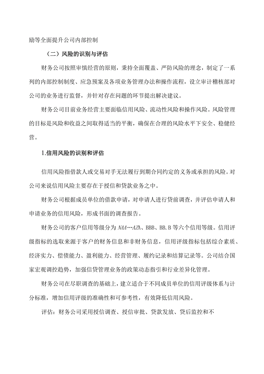 XX集团财务有限公司202X度风险评估报告.docx_第3页