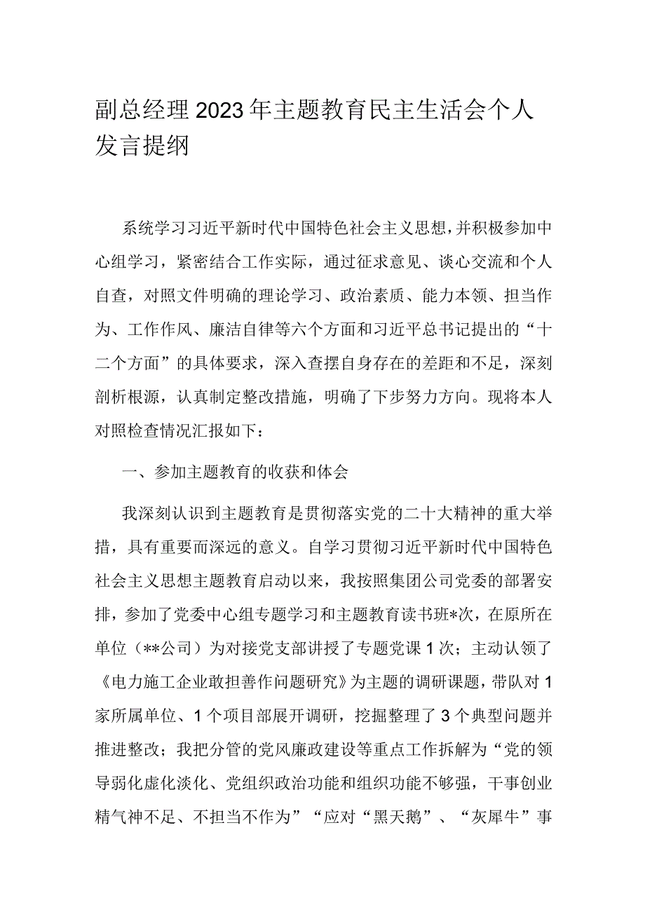 副总经理2023年主题教育民主生活会个人发言提纲.docx_第1页