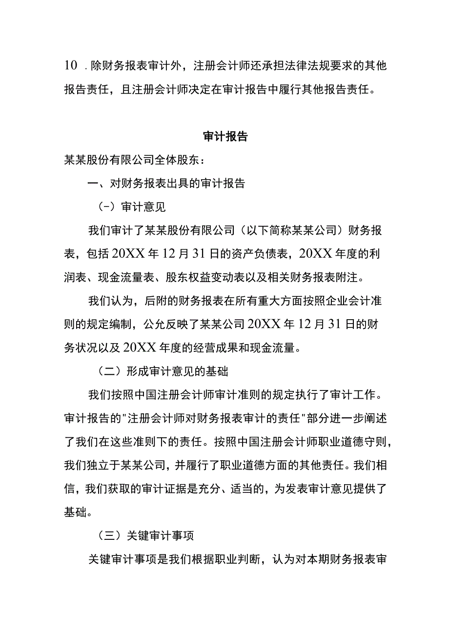 公司年度报表审计报告模板.docx_第2页