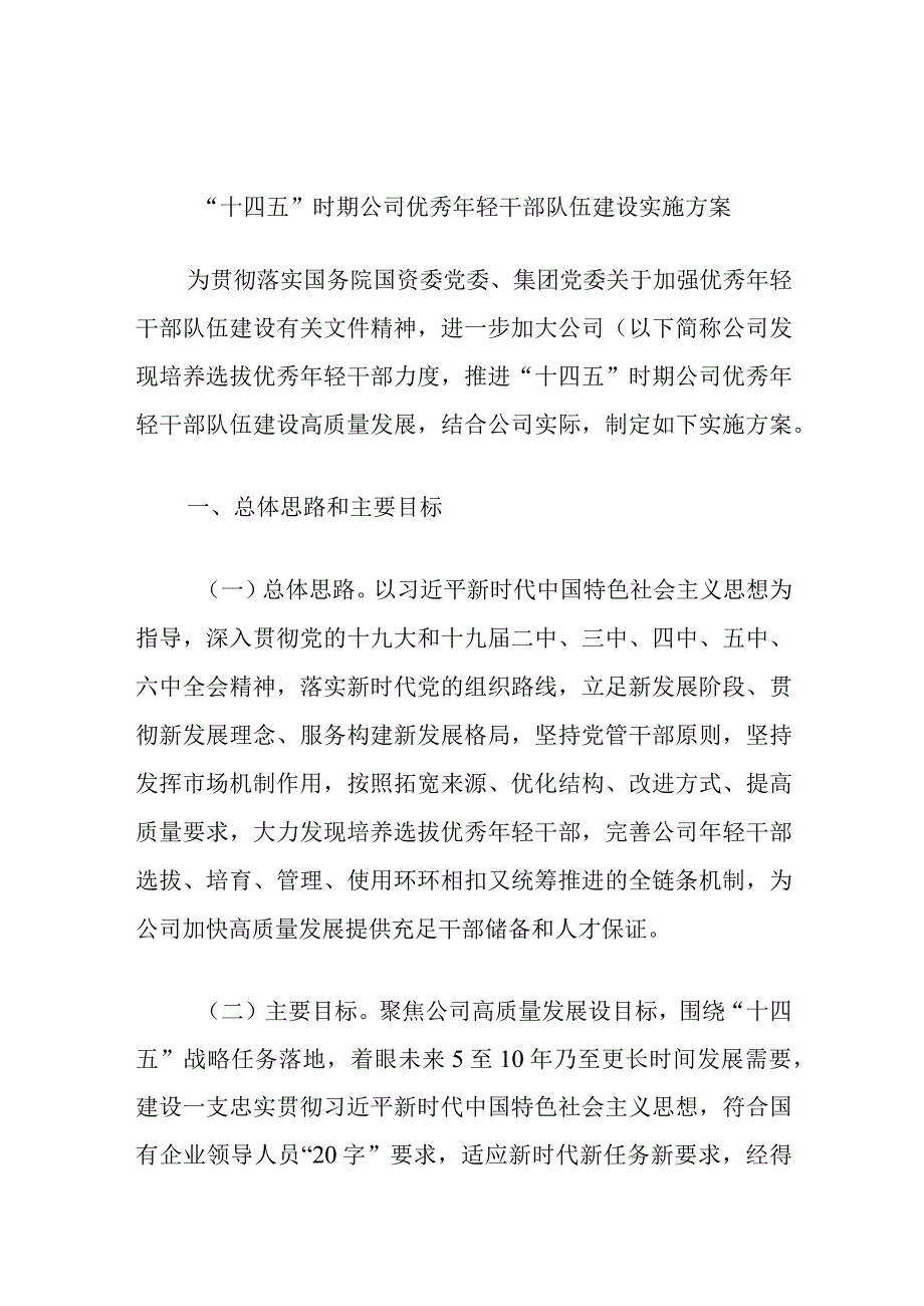 “十四五”时期公司优秀年轻干部队伍建设实施方案.docx_第1页