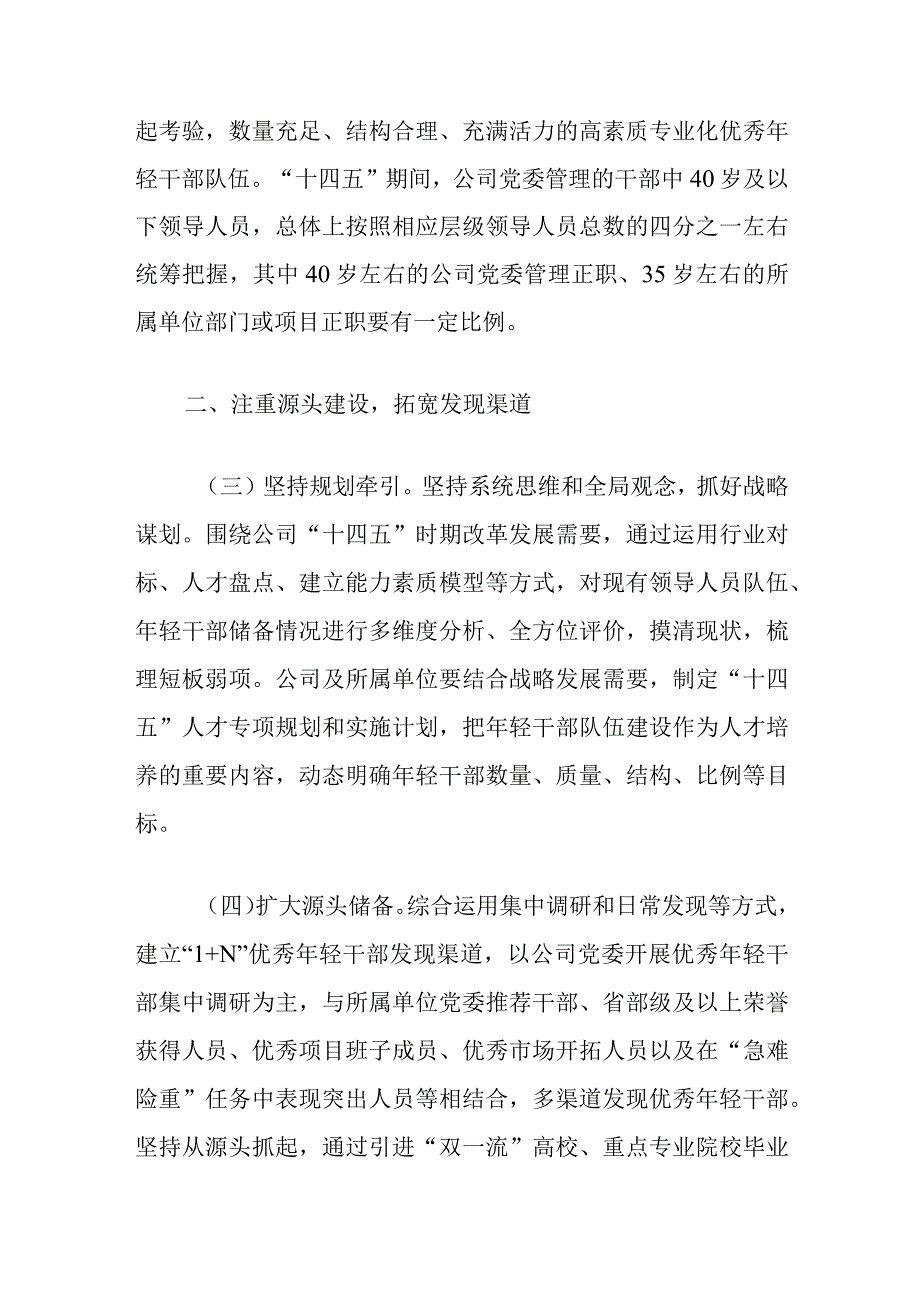 “十四五”时期公司优秀年轻干部队伍建设实施方案.docx_第2页