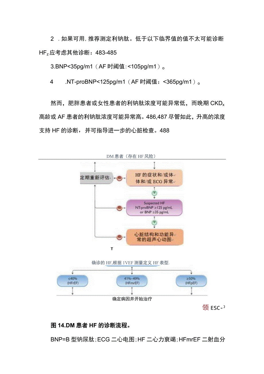 【ESC2023】DM患者CVD管理指南（第五部分）.docx_第2页