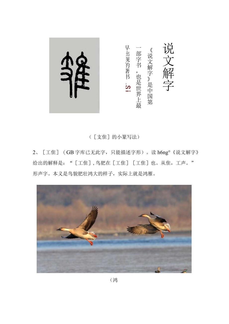 《说文解字》第712课：“隹”部的四个生僻字.docx_第2页