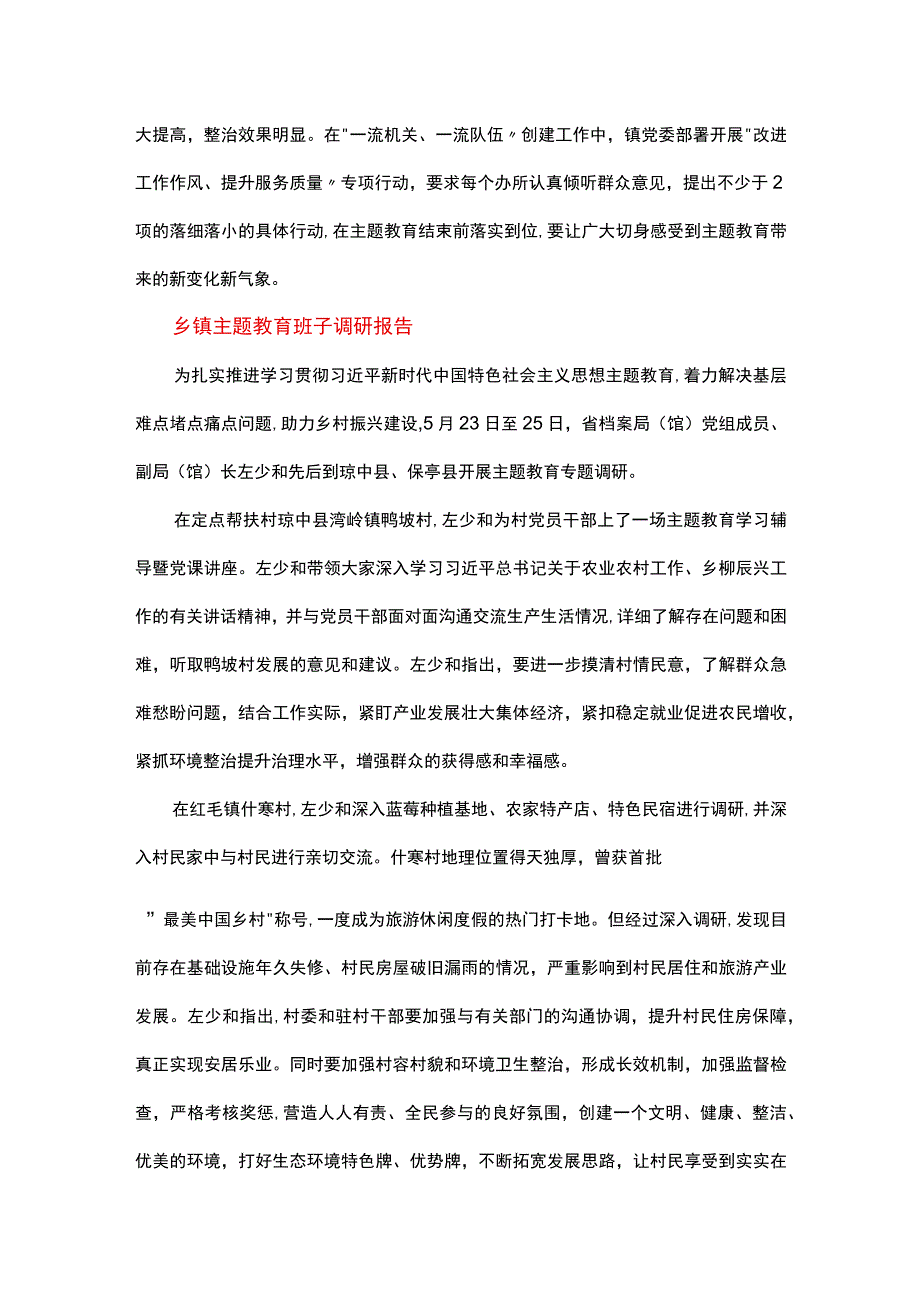 乡镇主题教育班子调研报告.docx_第3页