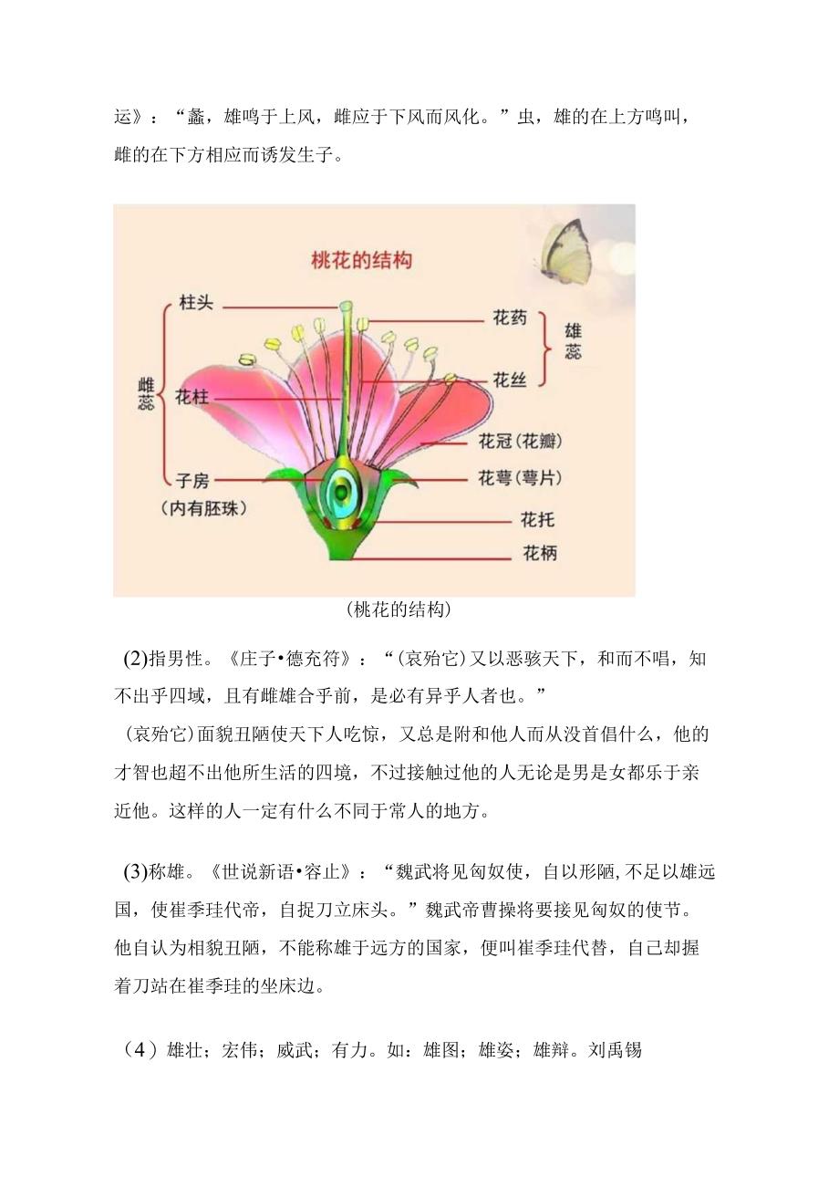 《说文解字》第713课：“雌、雄”为什么都有一个“隹”？.docx_第2页