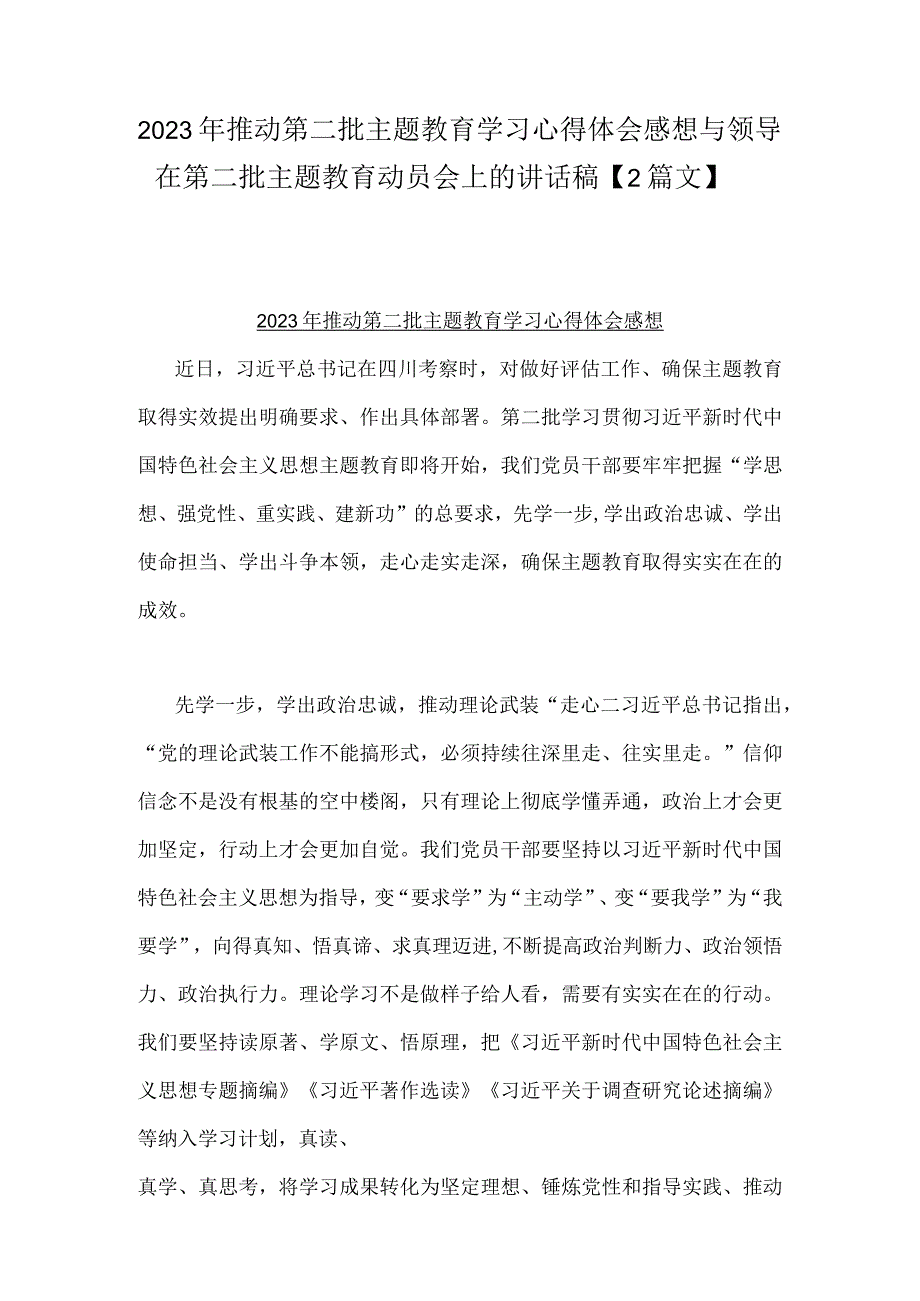 2023年推动第二批主题教育学习心得体会感想与领导在第二批主题教育动员会上的讲话稿【2篇文】.docx_第1页