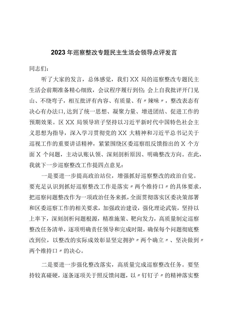 2023年巡察整改专题民主生活会领导点评发言.docx_第1页