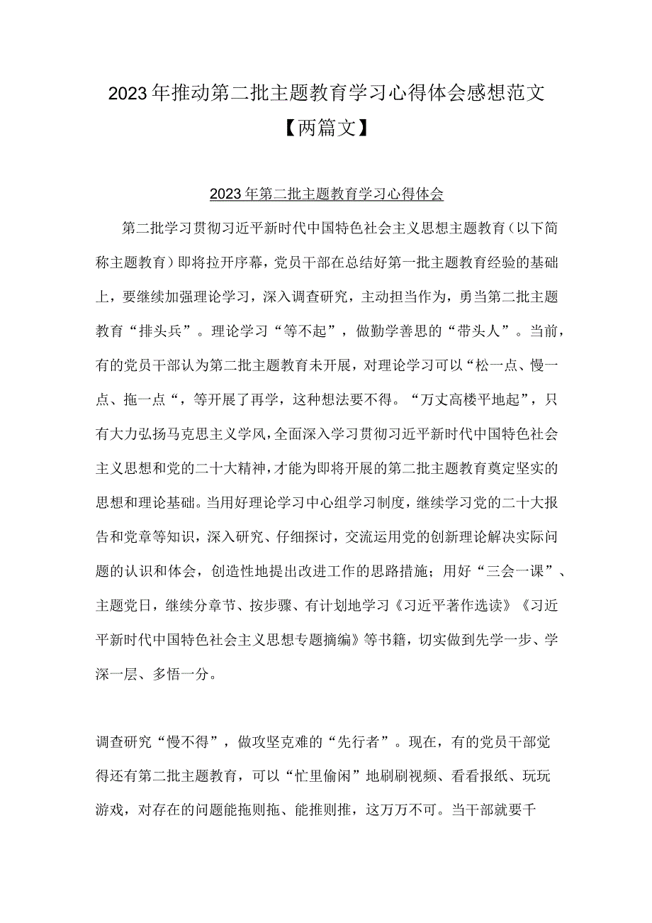 2023年推动第二批主题教育学习心得体会感想范文【两篇文】.docx_第1页