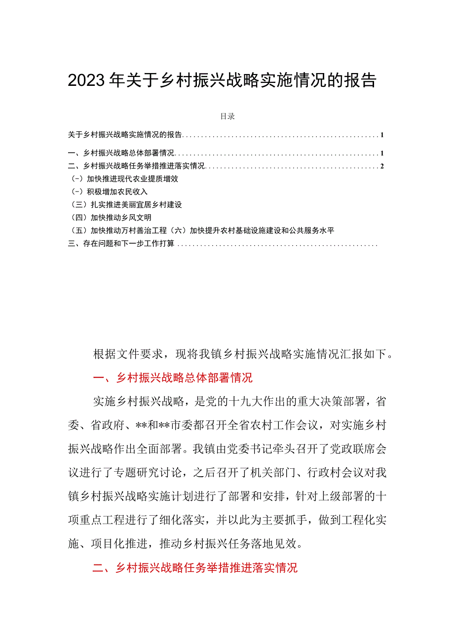 2023年关于乡村振兴战略实施情况的报告.docx_第1页