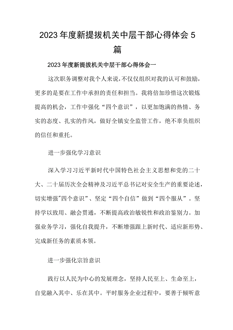 2023年度新提拔机关中层干部心得体会5篇.docx_第1页