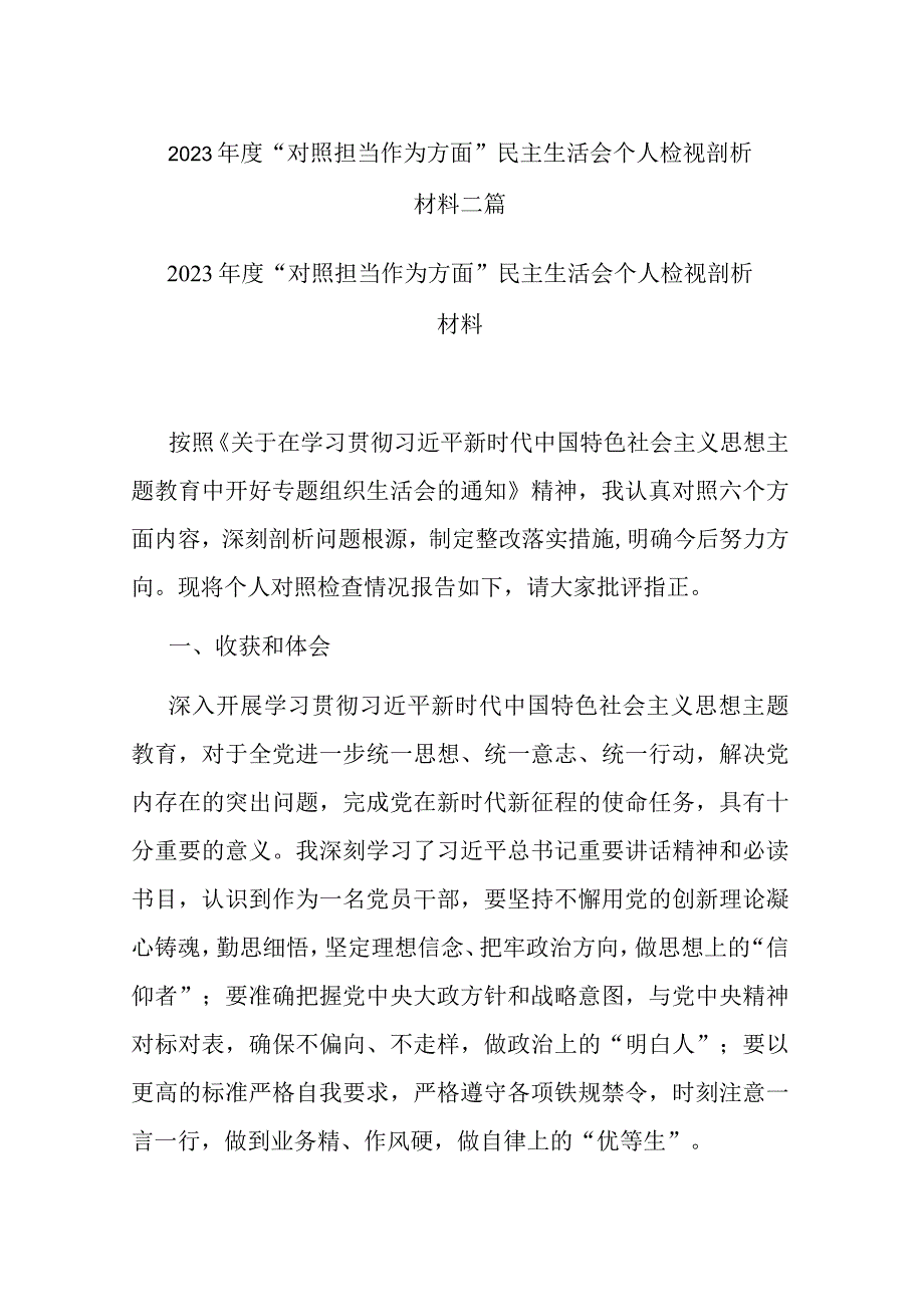 2023年度“对照担当作为方面”民主生活会个人检视剖析材料二篇.docx_第1页