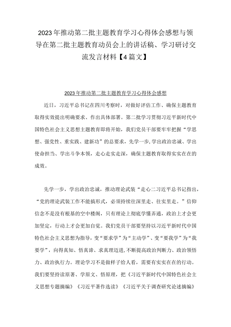 2023年推动第二批主题教育学习心得体会感想与领导在第二批主题教育动员会上的讲话稿、学习研讨交流发言材料【4篇文】.docx_第1页