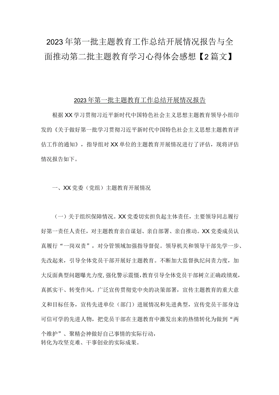 2023年第一批主题教育工作总结开展情况报告与全面推动第二批主题教育学习心得体会感想【2篇文】.docx_第1页