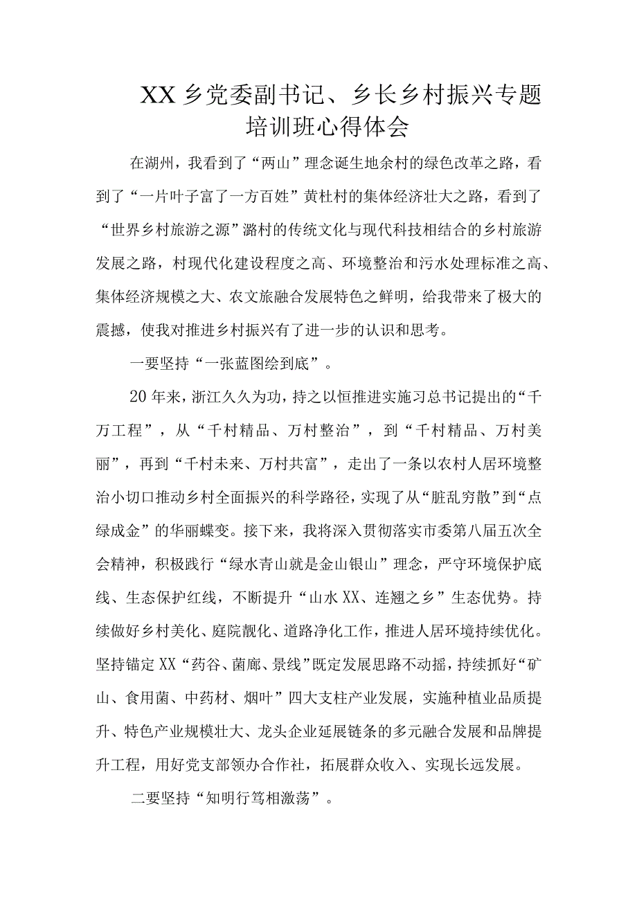 XX乡党委副书记、乡长乡村振兴专题培训班心得体会.docx_第1页