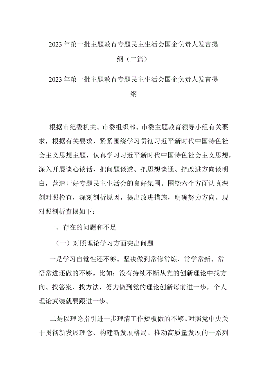 2023年第一批主题教育专题民主生活会国企负责人发言提纲(二篇).docx_第1页