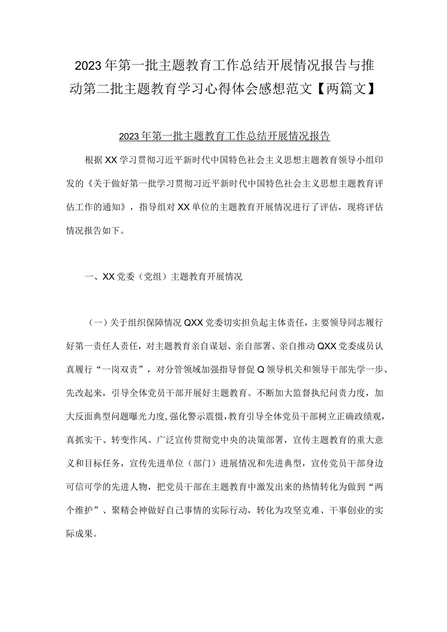 2023年第一批主题教育工作总结开展情况报告与推动第二批主题教育学习心得体会感想范文【两篇文】.docx_第1页