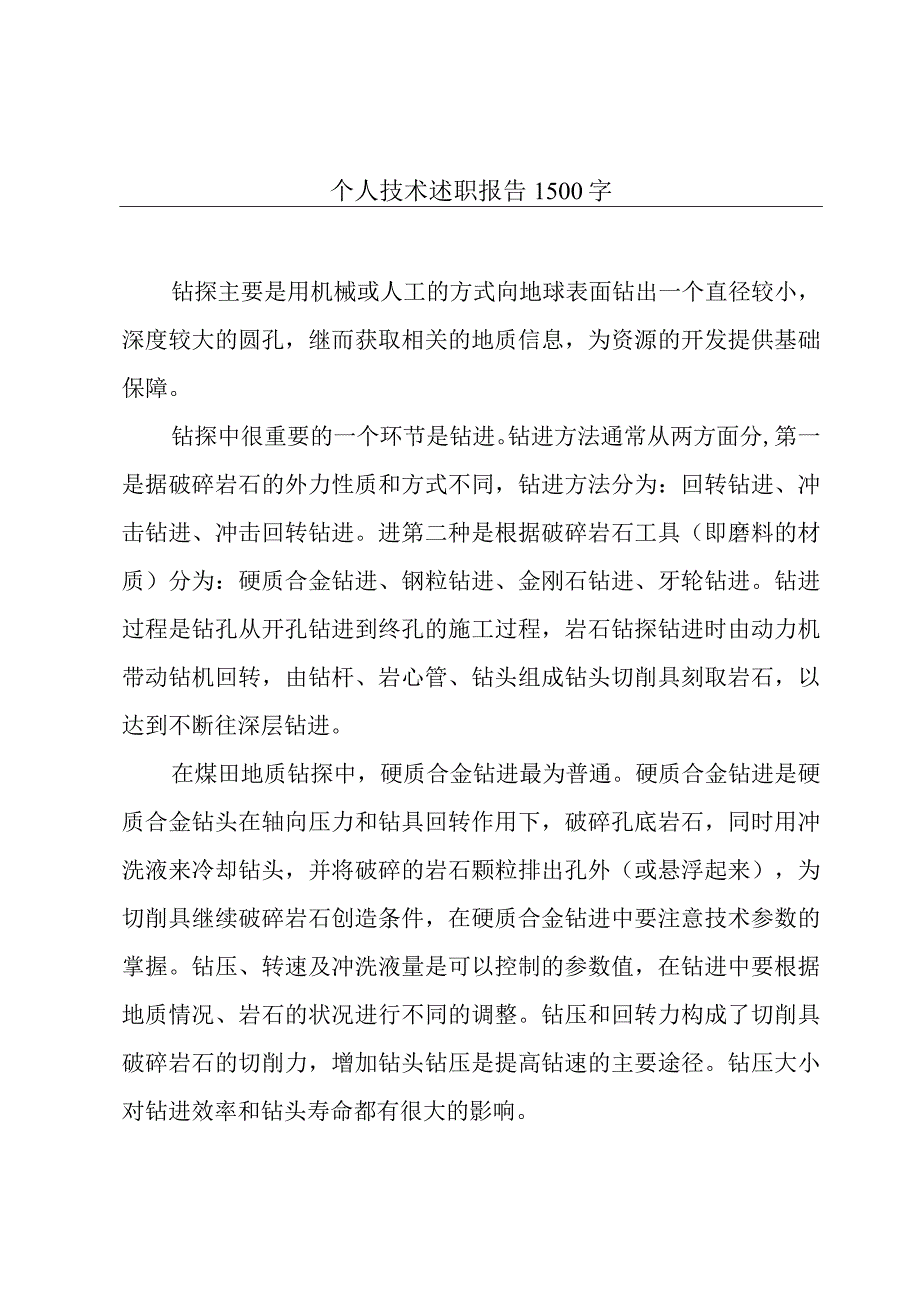 个人技术述职报告1500字.docx_第1页