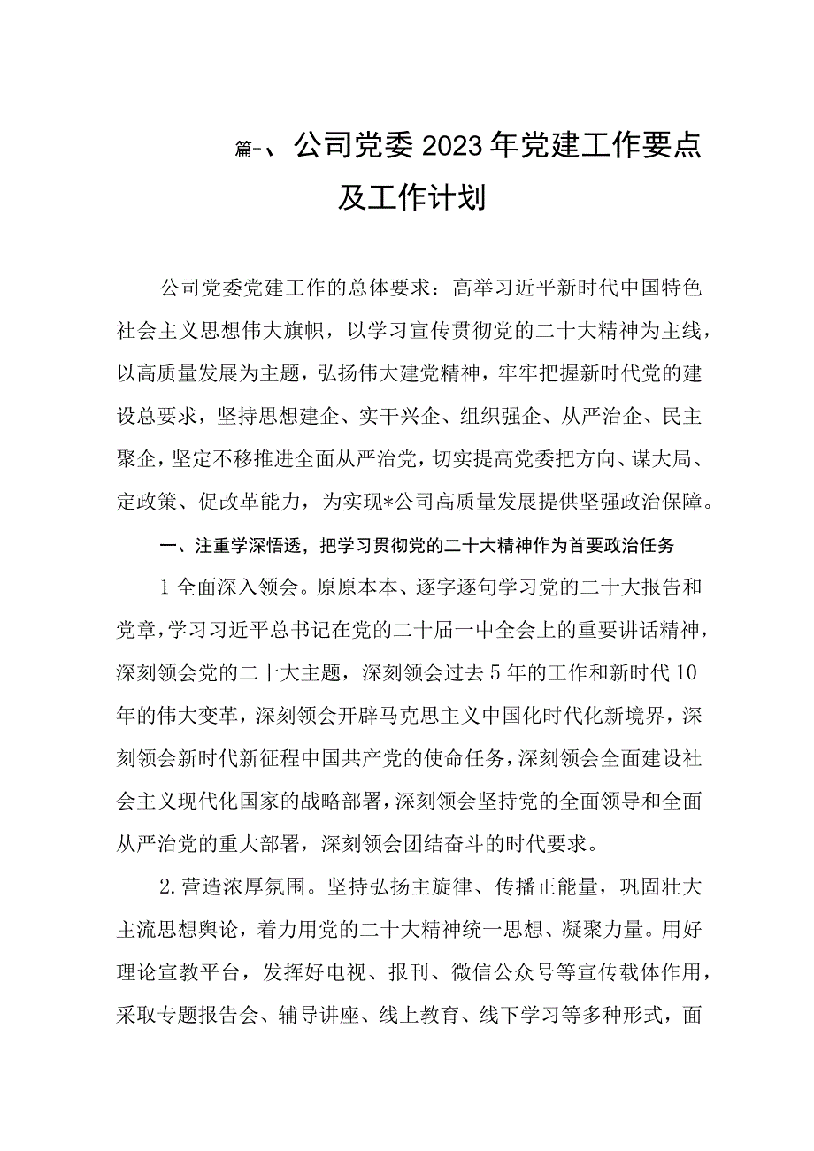 公司党委2023年党建工作要点及工作计划（共8篇）.docx_第2页