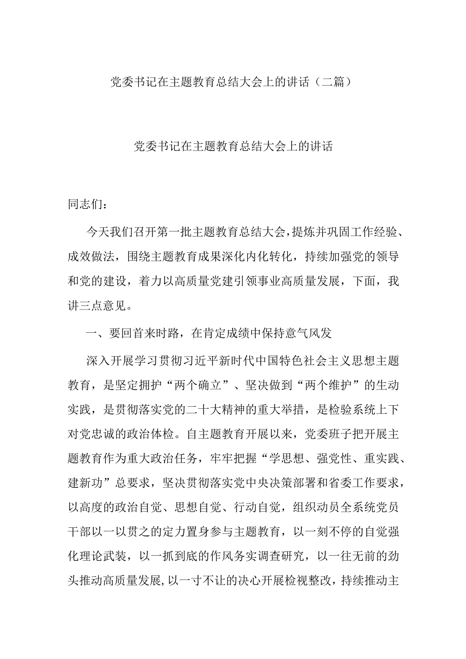 党委书记在主题教育总结大会上的讲话(二篇).docx_第1页