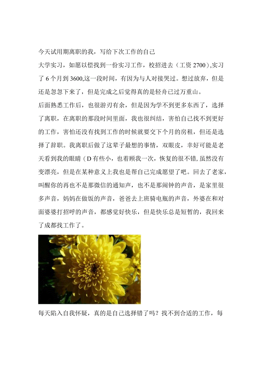 今天试用期离职的我写给下次工作的自己.docx_第1页