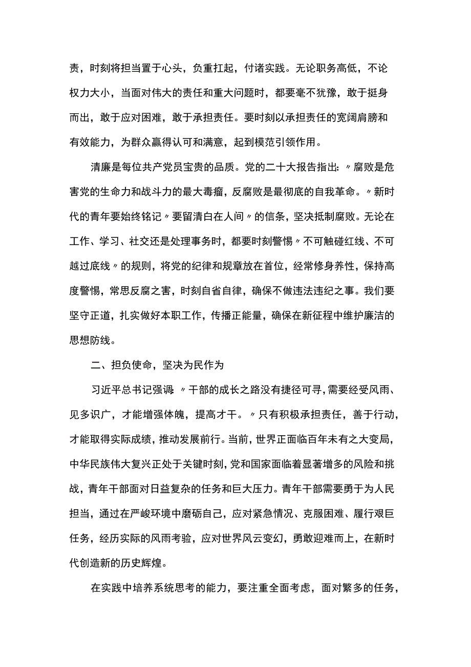 党课：青年应践行使命担当实干无悔.docx_第2页