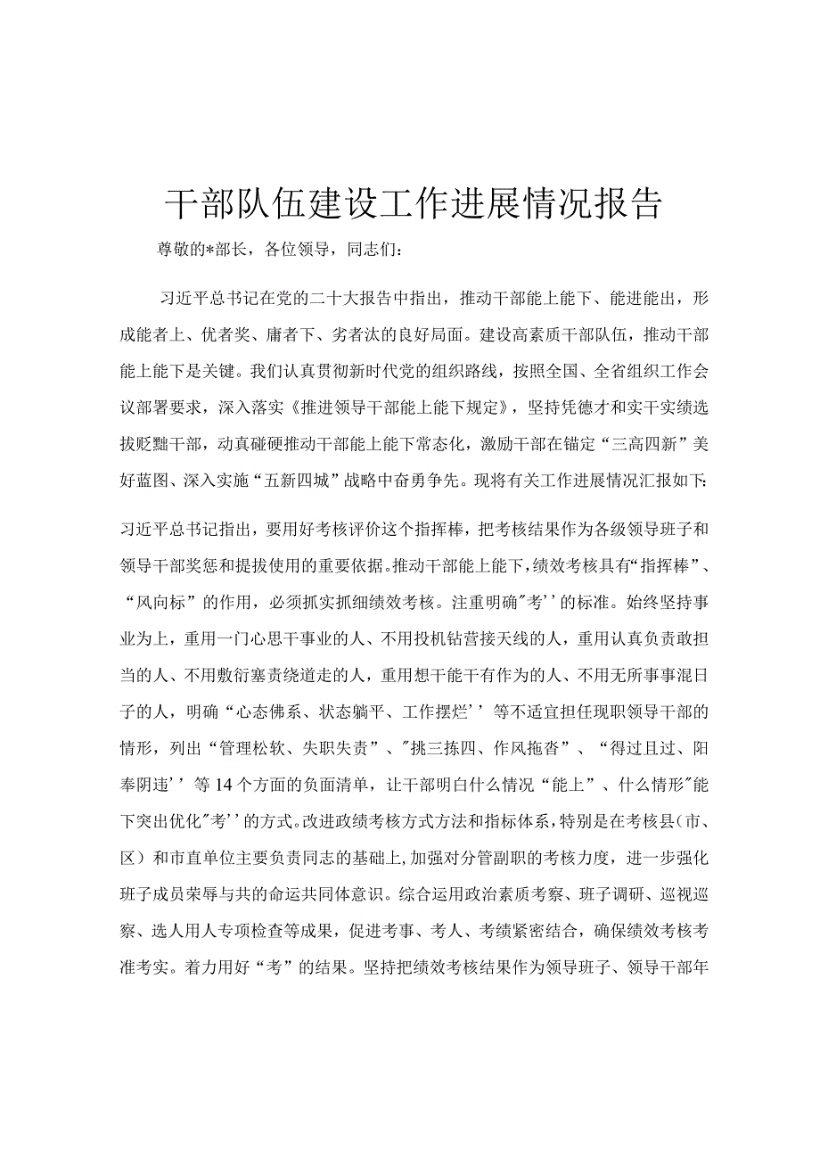 干部队伍建设工作进展情况报告.docx_第1页