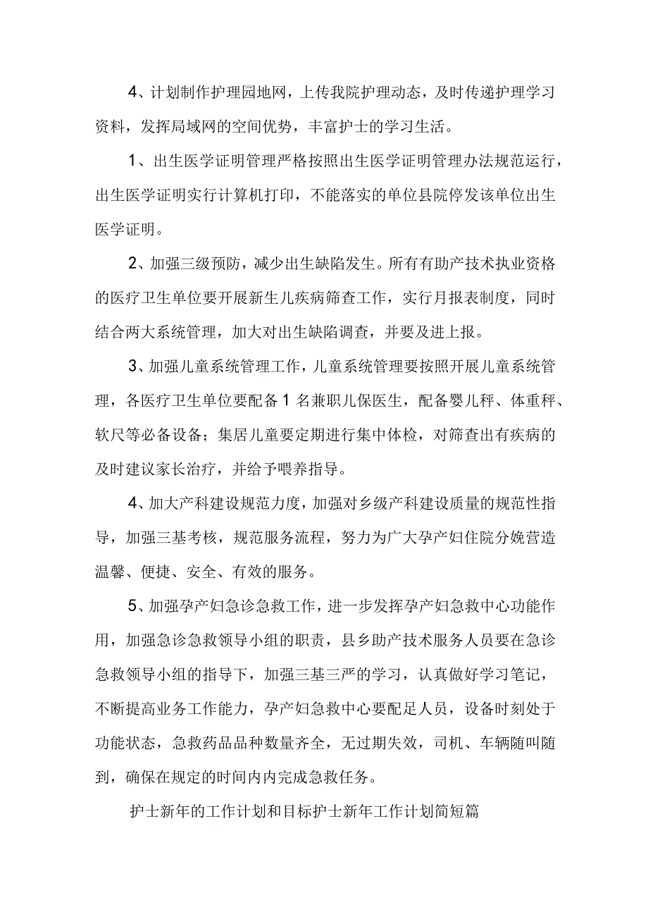 护士新年的工作计划和目标 护士新年工作计划简短(5篇).docx_第2页