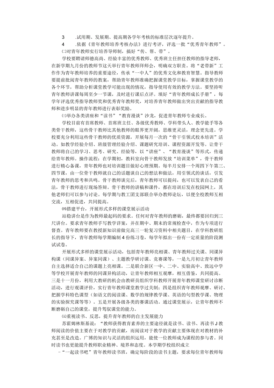 第一高级中学青年教师培养专项规划.docx_第2页