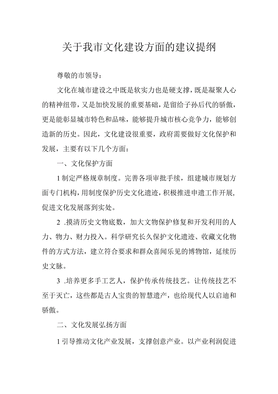 关于我市文化建设方面的建议提纲.docx_第1页