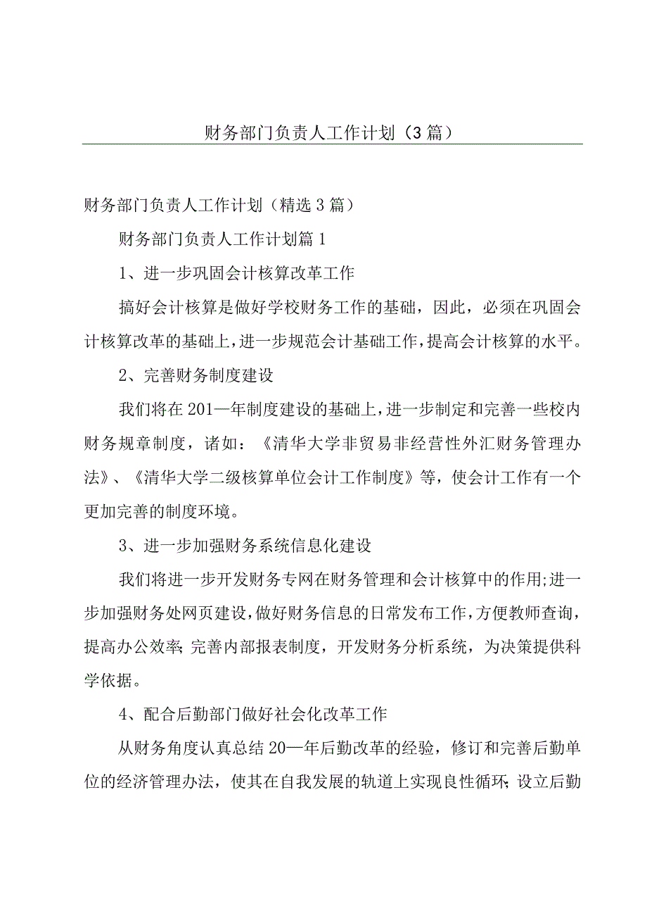 财务部门负责人工作计划（3篇）.docx_第1页