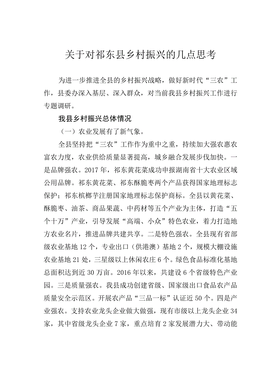 关于对祁东县乡村振兴的几点思考.docx_第1页