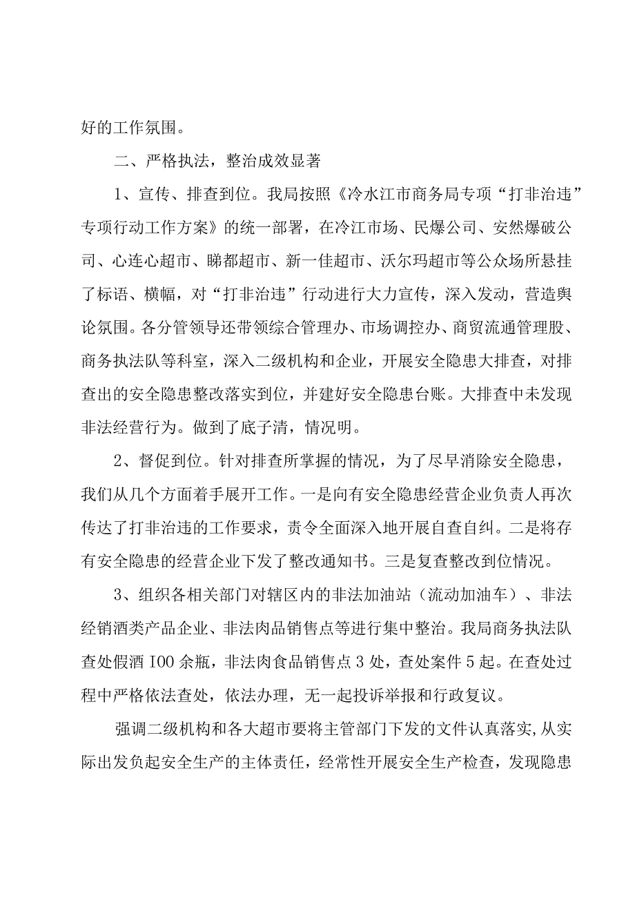 打非治违年终工作总结模板.docx_第2页