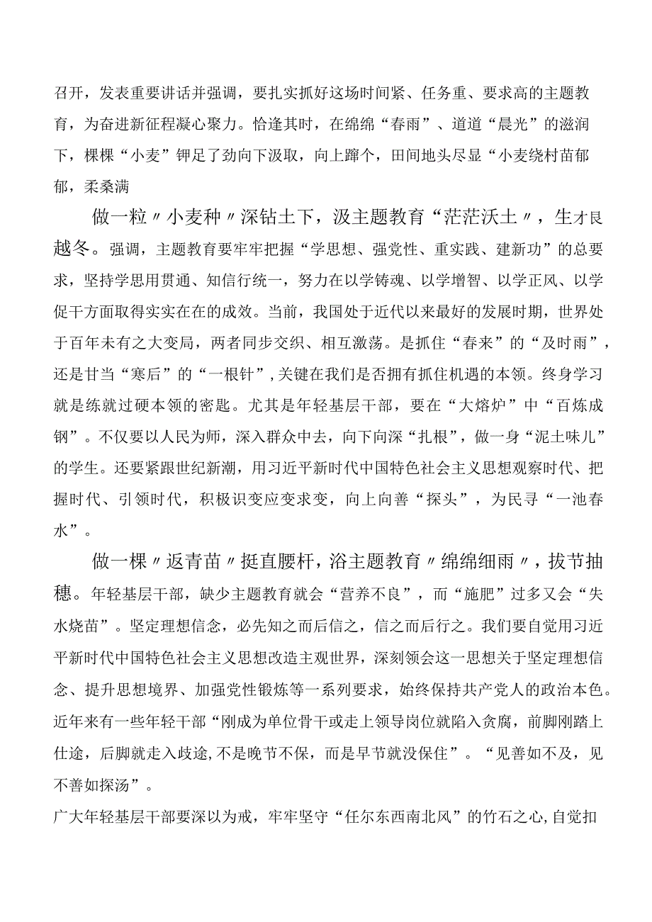 （多篇汇编）2023年主题教育工作会议心得.docx_第3页