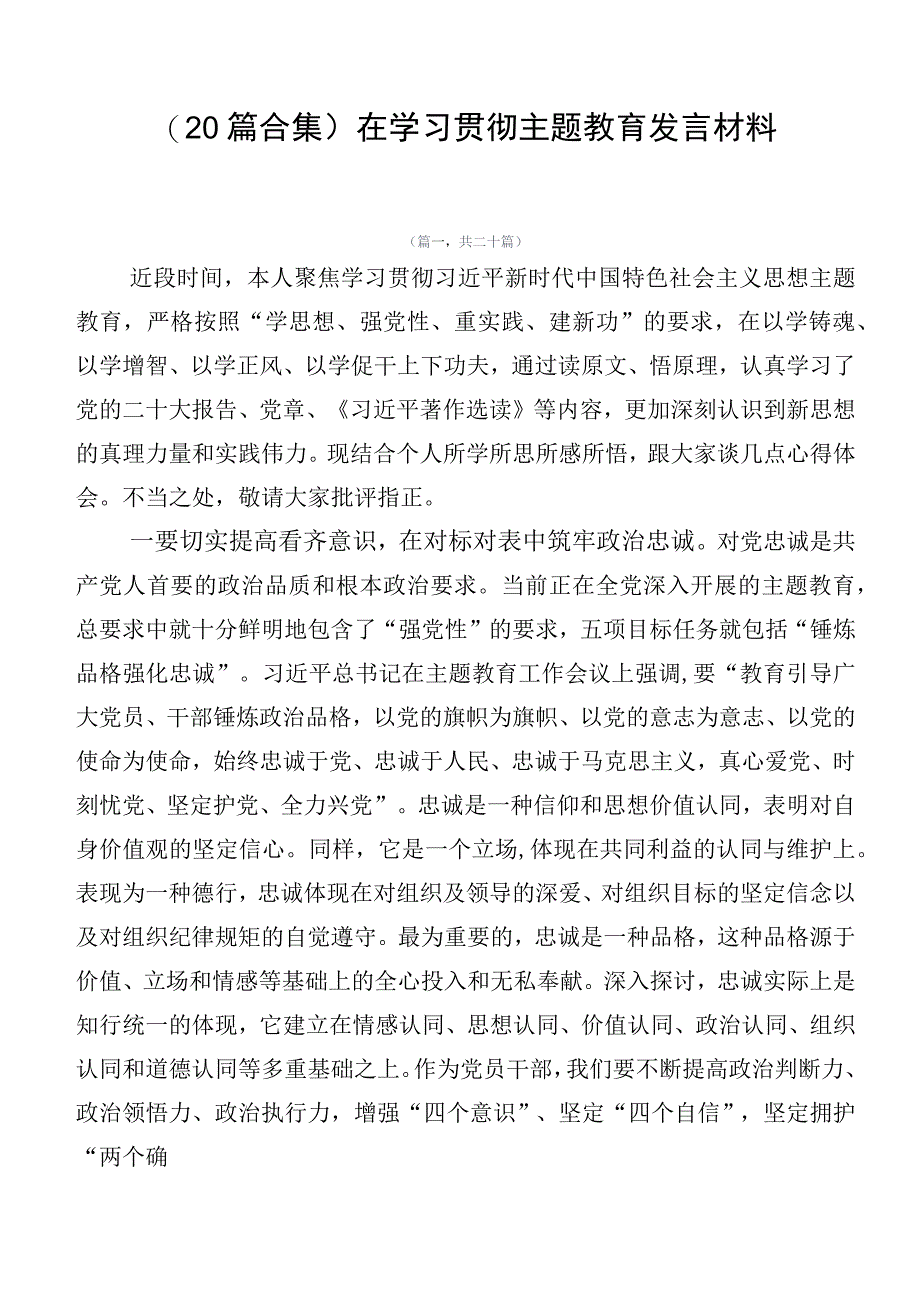 （20篇合集）在学习贯彻主题教育发言材料.docx_第1页