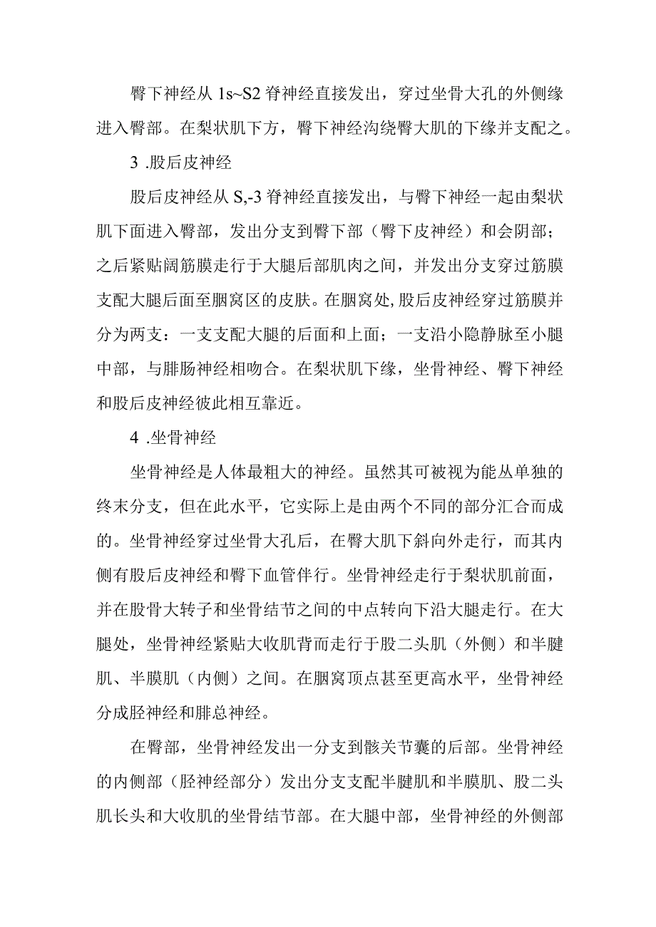 麻醉学骶丛阻滞技术.docx_第2页