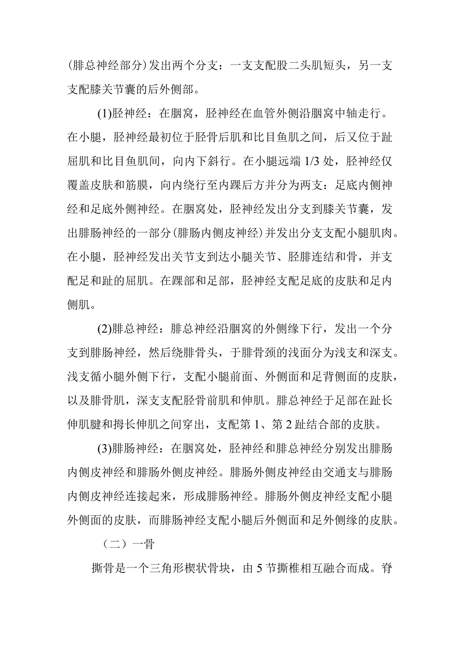 麻醉学骶丛阻滞技术.docx_第3页