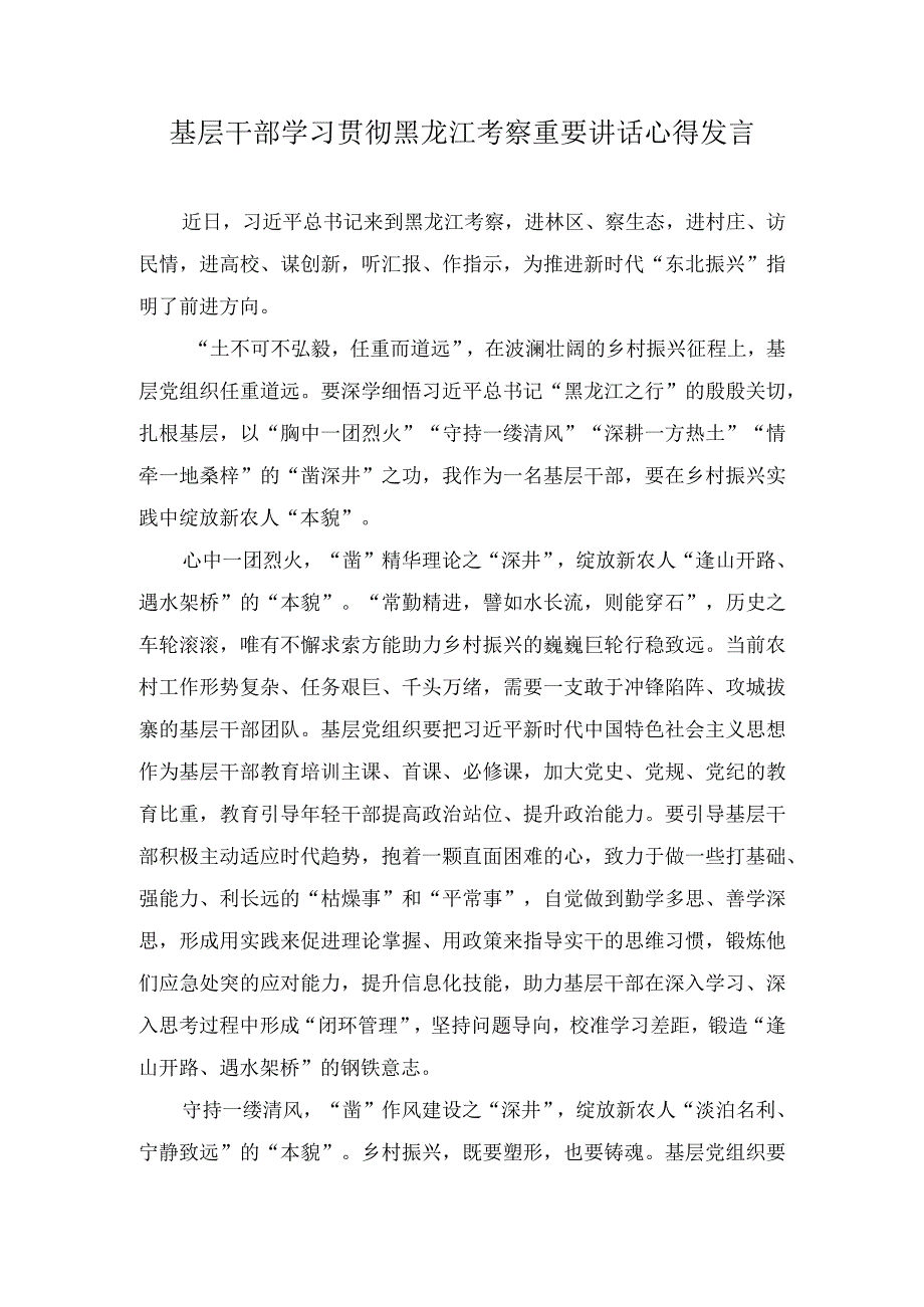 （2篇）2023年基层干部学习贯彻黑龙江考察重要讲话心得体会发言.docx_第1页