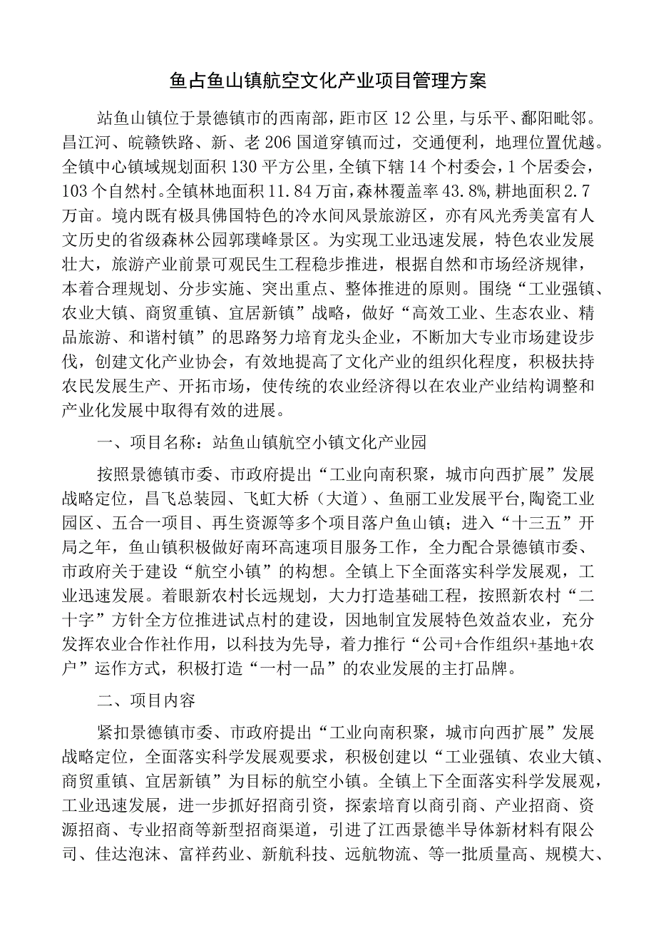 鲇鱼山镇航空文化产业项目管理方案.docx_第1页