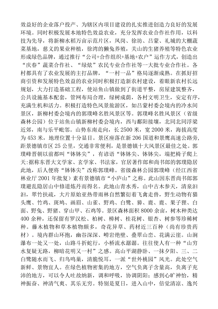 鲇鱼山镇航空文化产业项目管理方案.docx_第2页