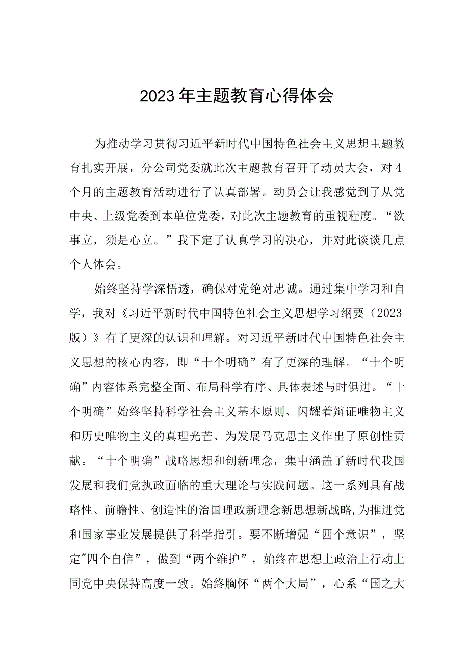 2023年企业总支书记主题教育学习心得体会十三篇.docx_第1页