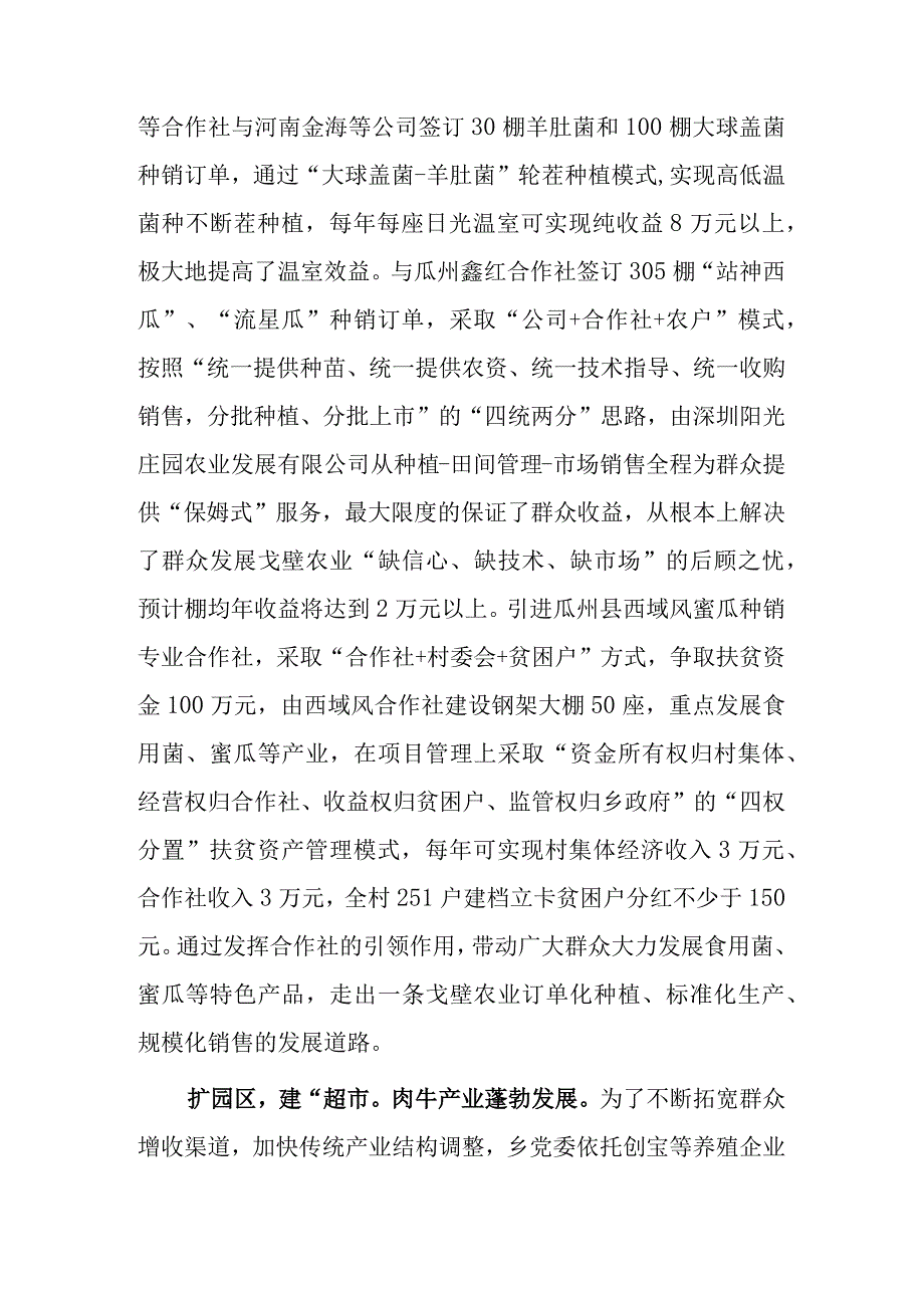 xx乡抓党建促乡村振兴典型材料.docx_第3页