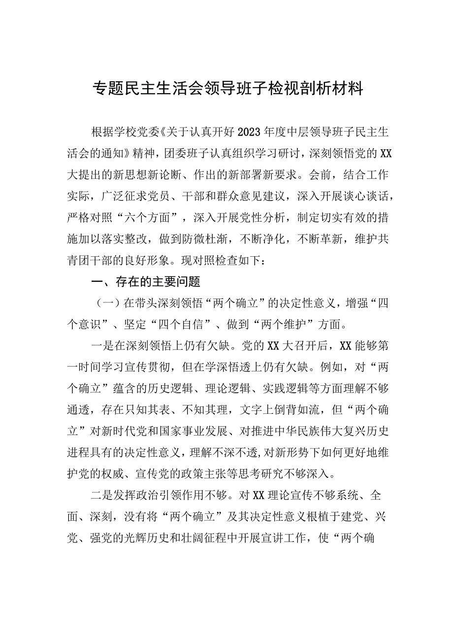 专题民主生活会领导班子检视剖析材料.docx_第1页