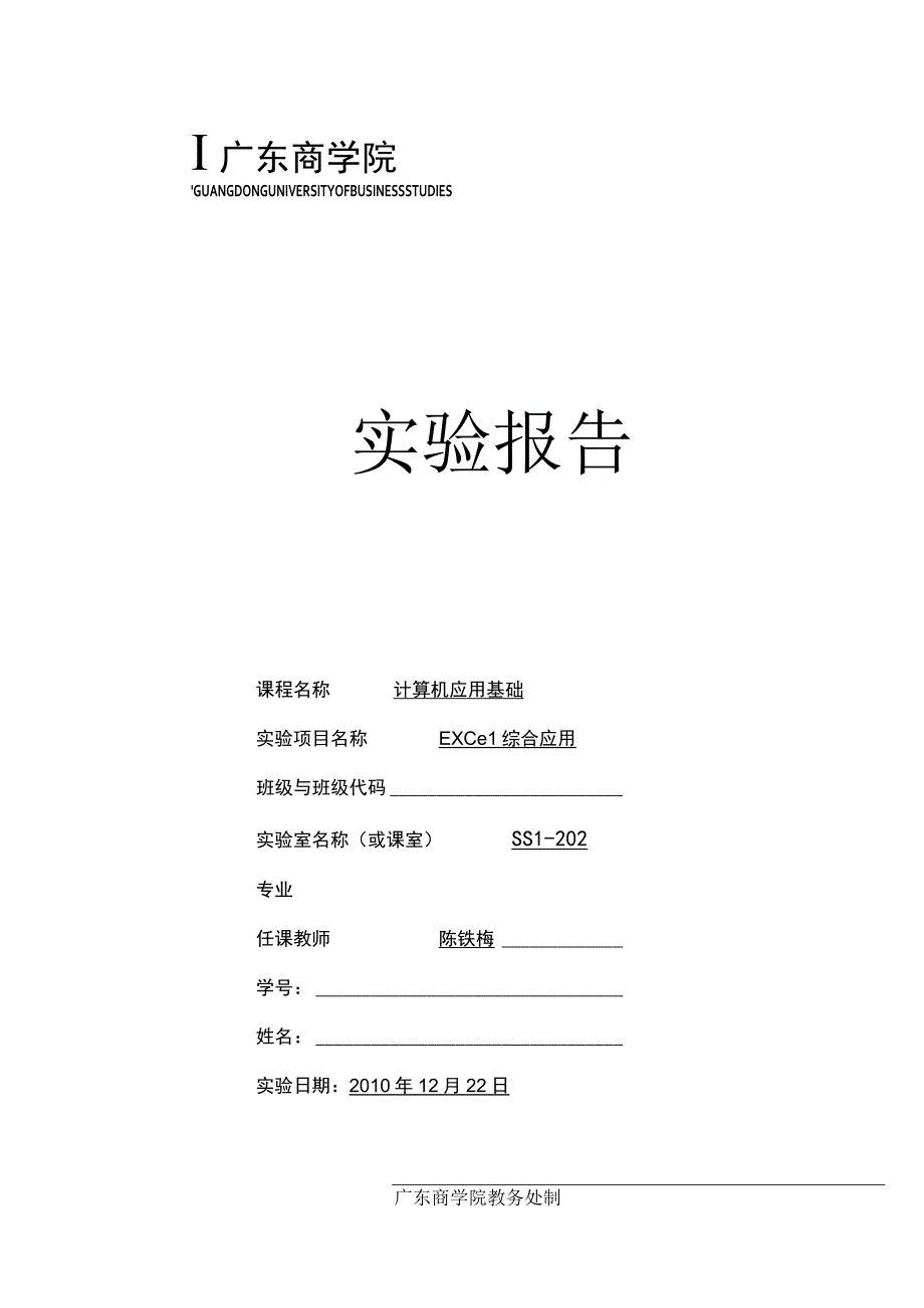 2010Excel综合应用实验报告格式.docx_第1页